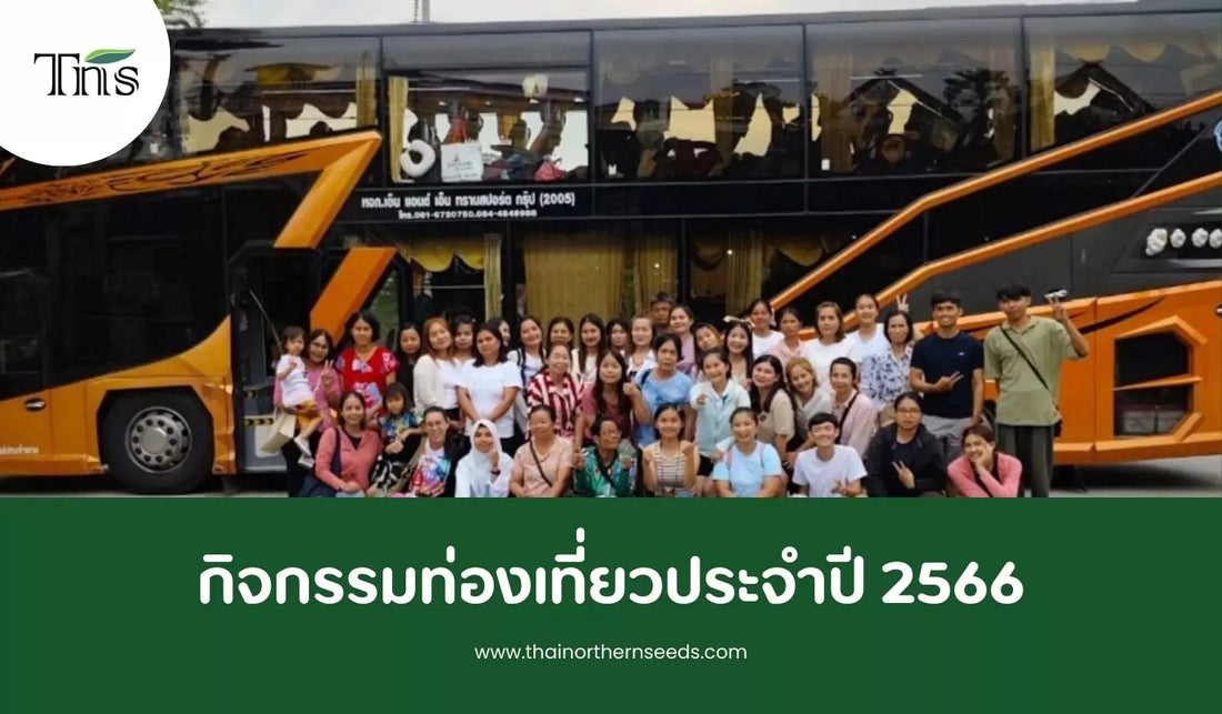 กิจกรรมท่องเที่ยว ประจำปี 2566