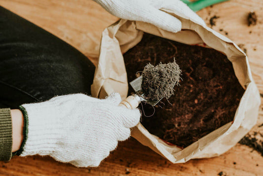 Techniques for Soil Preparation to Provide Complete Nutrients for Home-Grown Vegetable