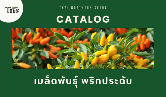 เมล็ดพันธุ์พริกประดับ สำหรับการตกแต่งสวนให้มีสีสันสดใส